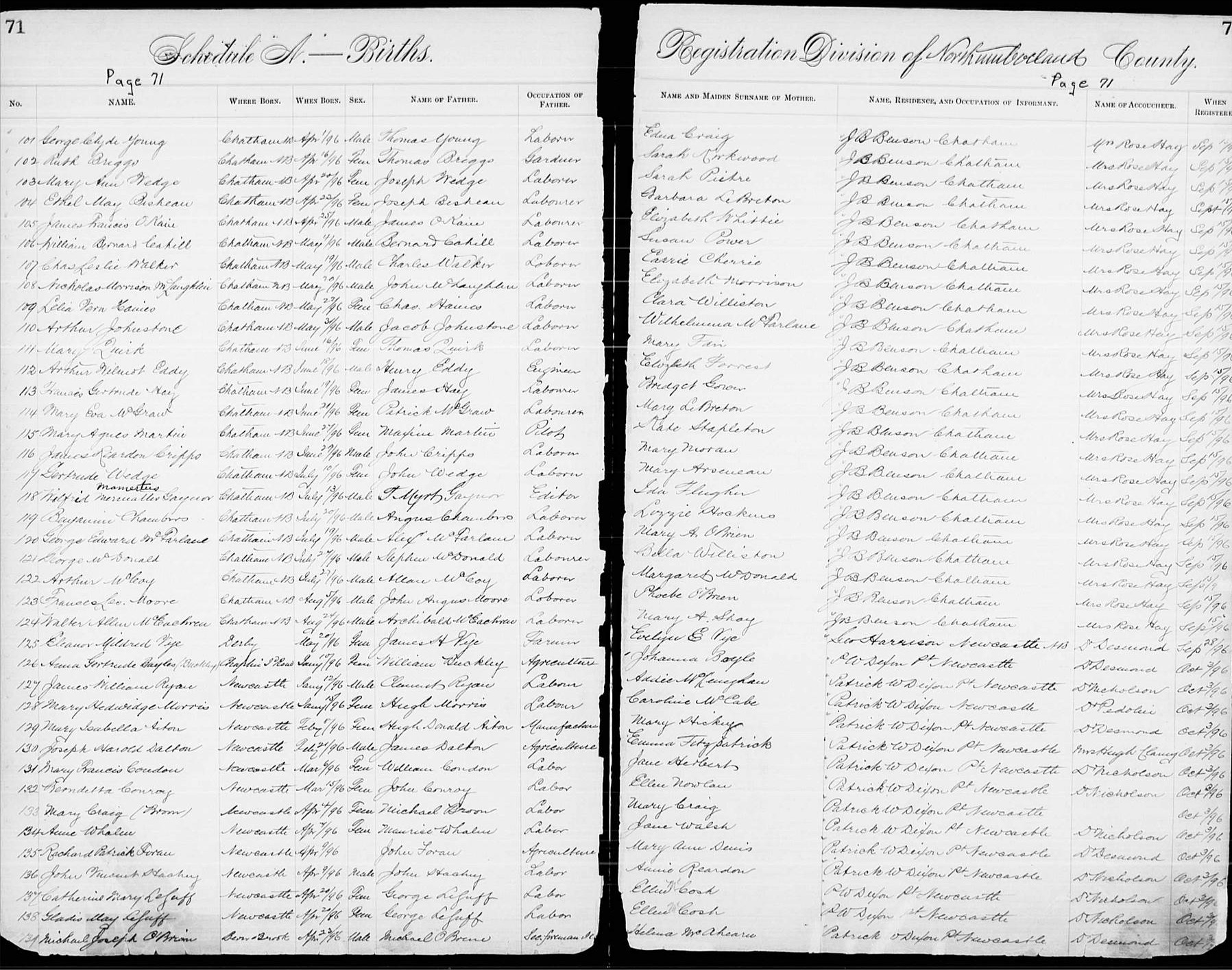 Birth Record Birth Record